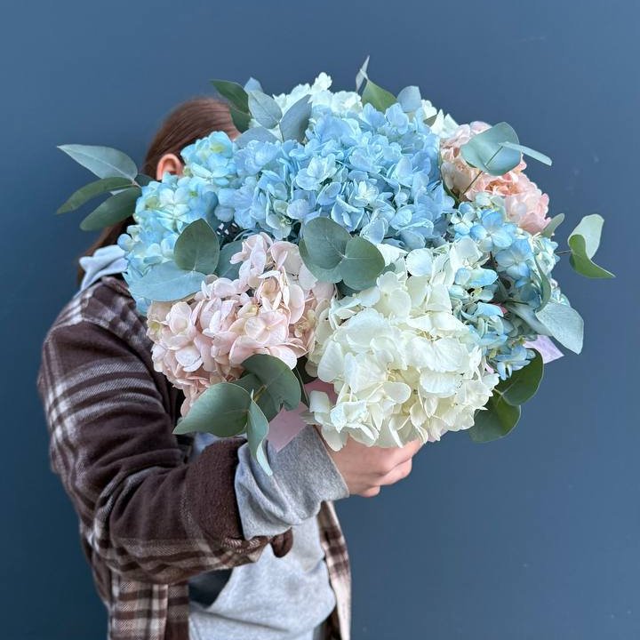 Гортензии в коробочке в Дзержинске