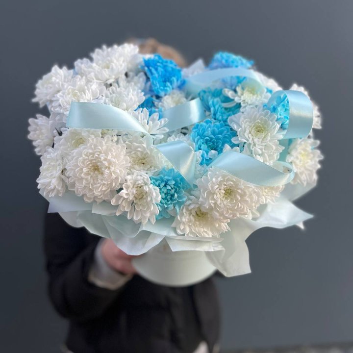 Хризнтемы в боксе в Дзержинске