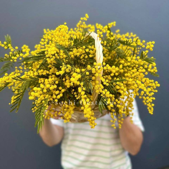 Весенняя корзина мимозы в Дзержинске