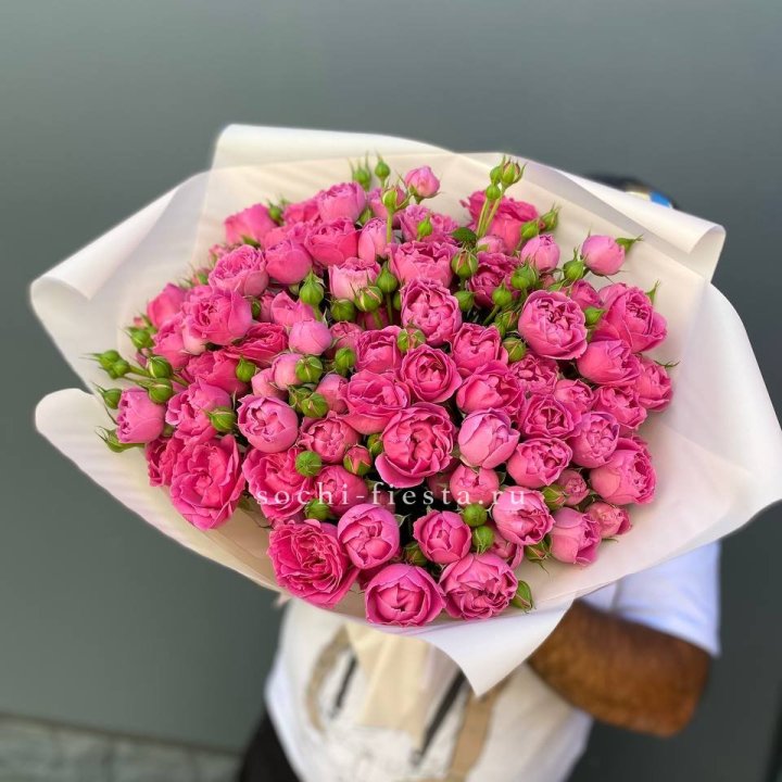 Мисти Баблс 35шт в Дзержинске