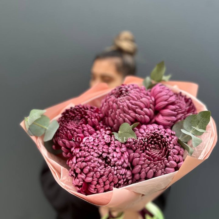 Хризантемы  Бигуди  в Дзержинске