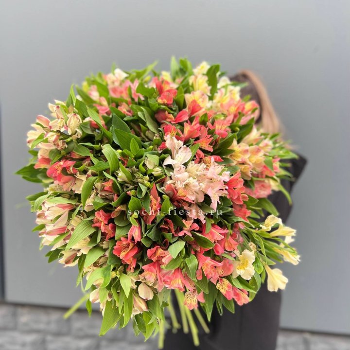 51 альстромерия в Дзержинске