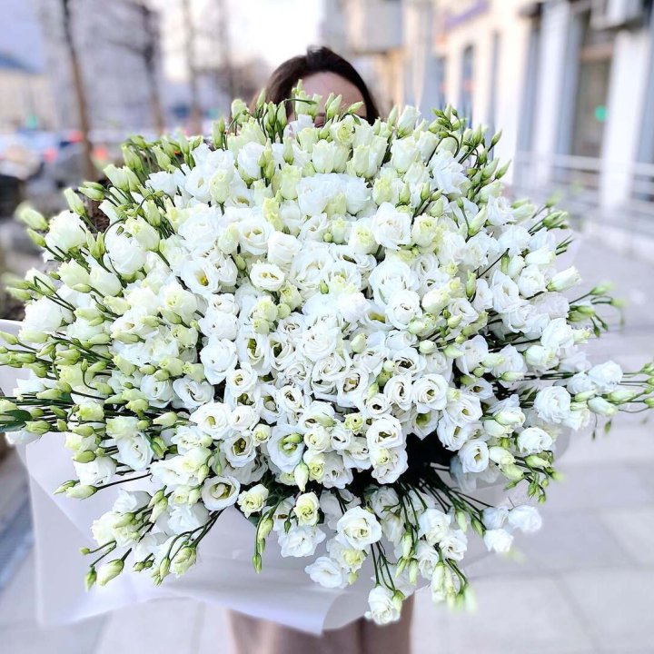 101 белая эустома в Дзержинске