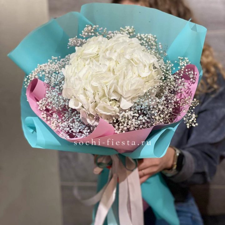 Гортензия "Райдов" в Дзержинске