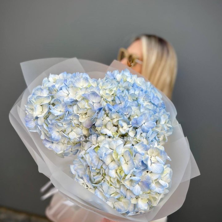 Букет из 3 голубых гортензий  в Дзержинске