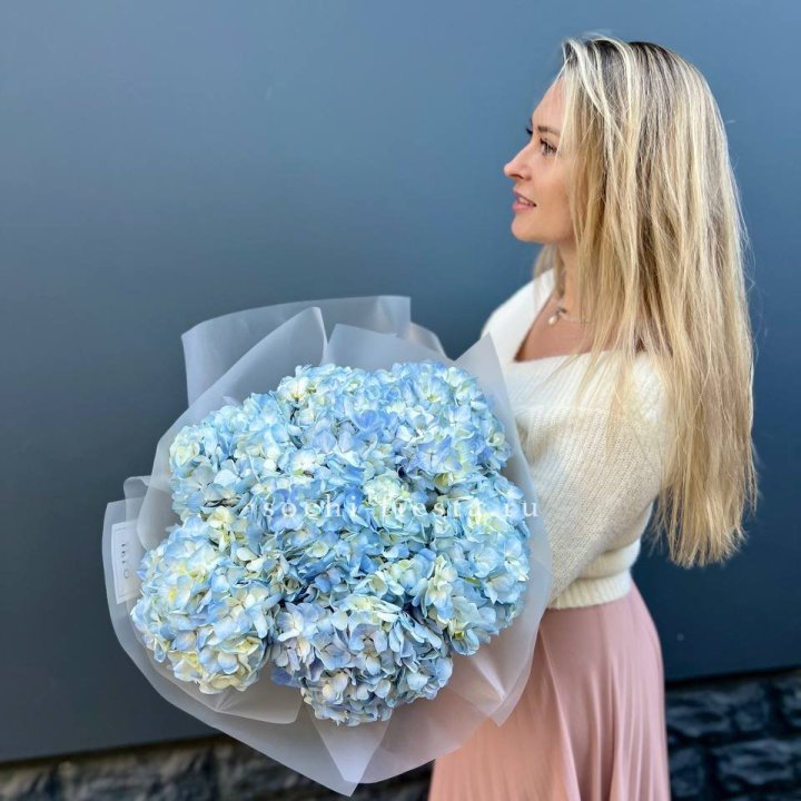 7 голубых гортензий в Дзержинске