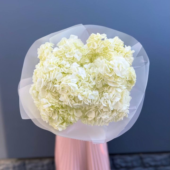 7 белых гортензий в Дзержинске