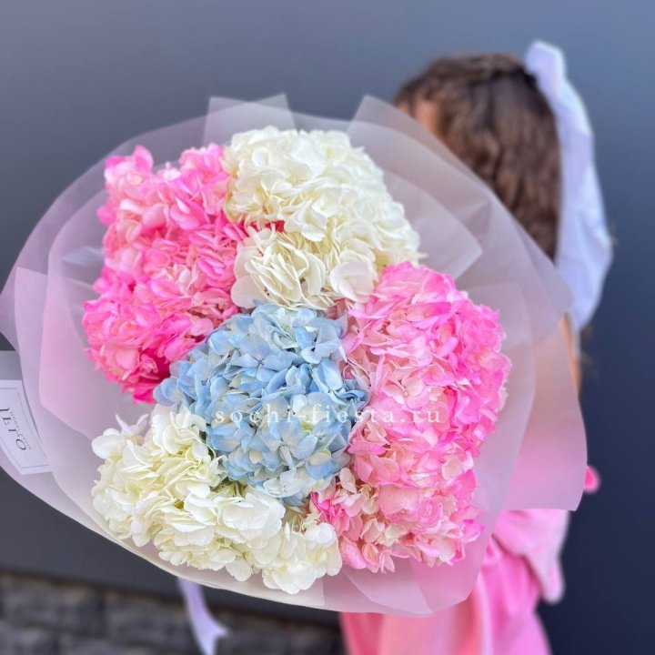 7 гортензий микс в Дзержинске