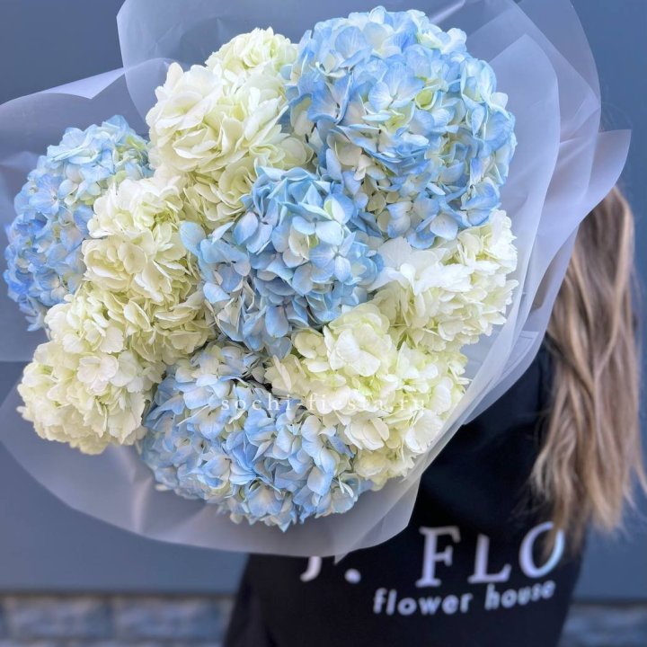9 бело-голубых гортензий в Дзержинске