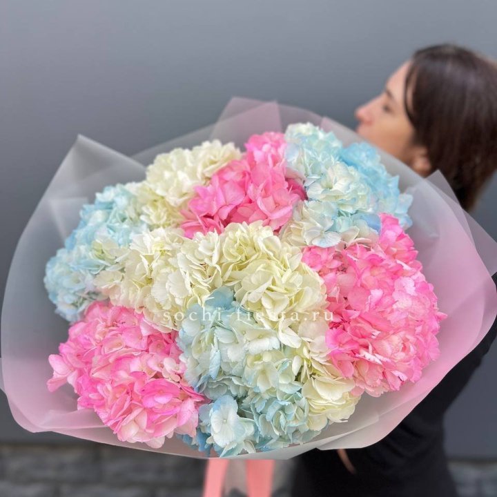 9 гортензий микс в Дзержинске