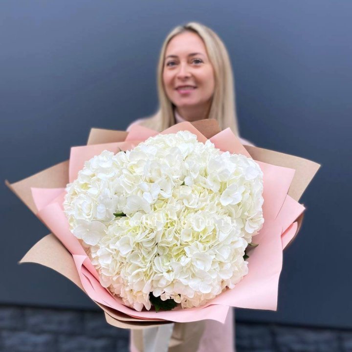 Гортензия белая в Дзержинске