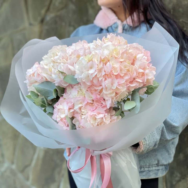 5 розовых гортензий в Дзержинске