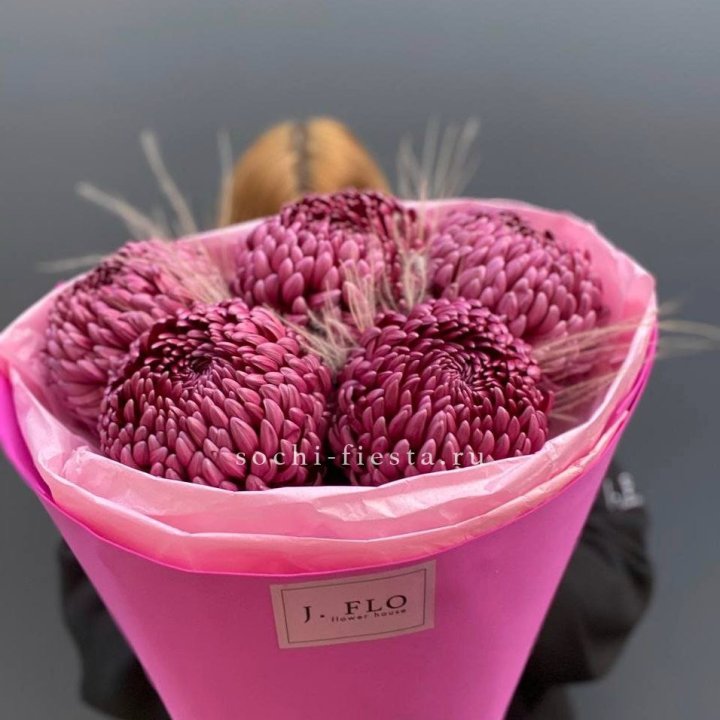 Хризантемы  Бигуди с стифой в Дзержинске