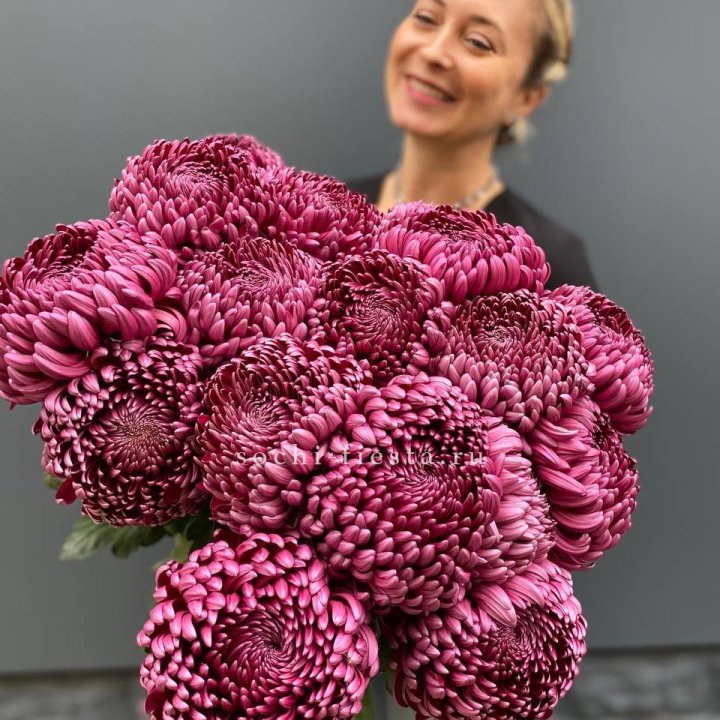 Охапка хризантем Бигуди в Дзержинске