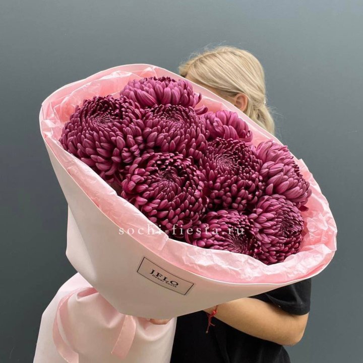 9 хризантем бигуди в Дзержинске