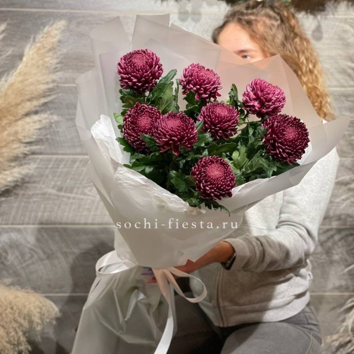 Хризантемы Бигуди в Дзержинске