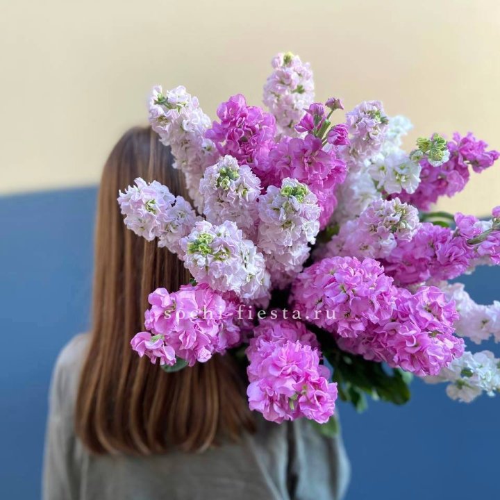 Охапка маттиолы в Дзержинске