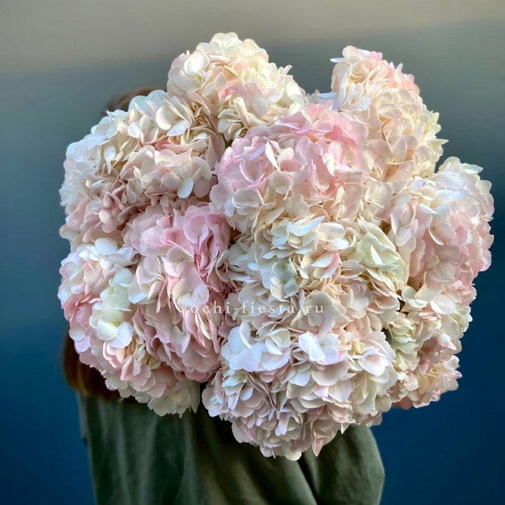 Охапка розовой гортензии в Дзержинске