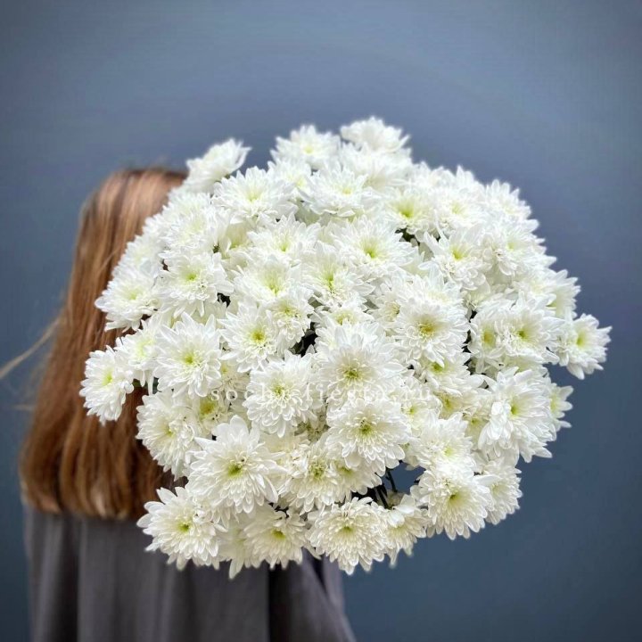 Охапка Хризантемы кустовой в Дзержинске