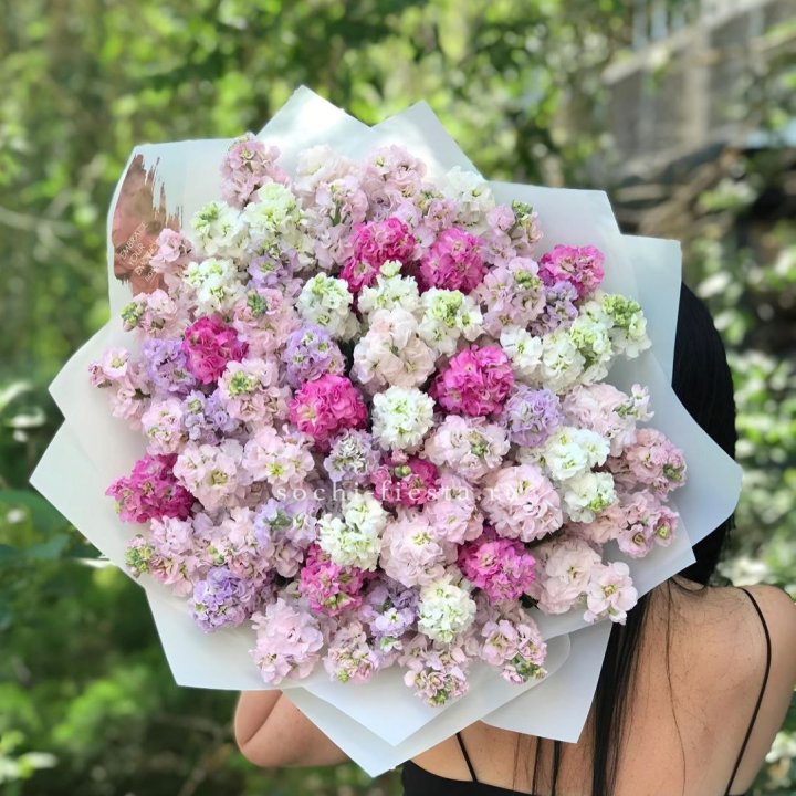 Букет ароматной маттиоллы №3 в Дзержинске