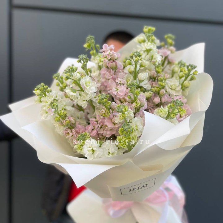 29 маттиол  в Дзержинске