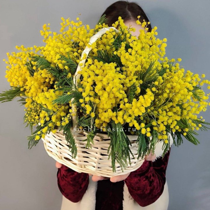 Корзина ароматной мимозы в Дзержинске