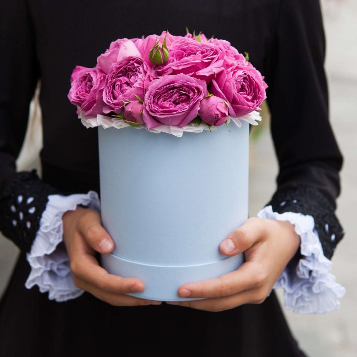 Бокс мини мисти в Дзержинске