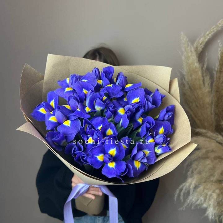 Ирисы в Дзержинске