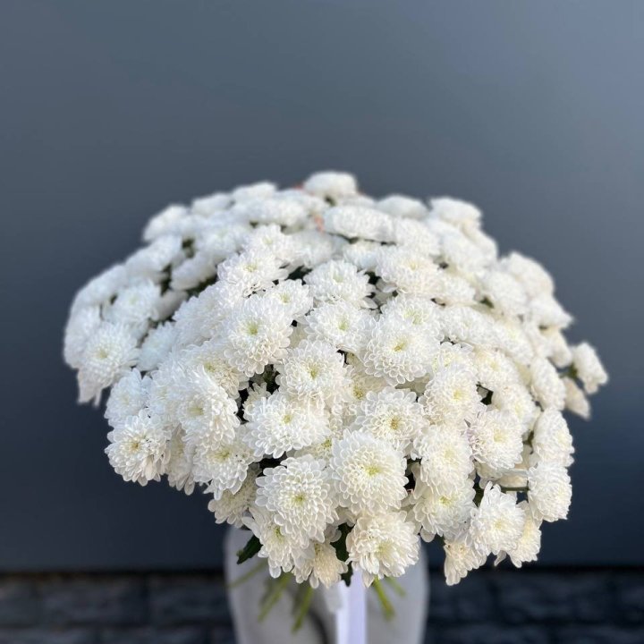  25 хризантем белых в Дзержинске