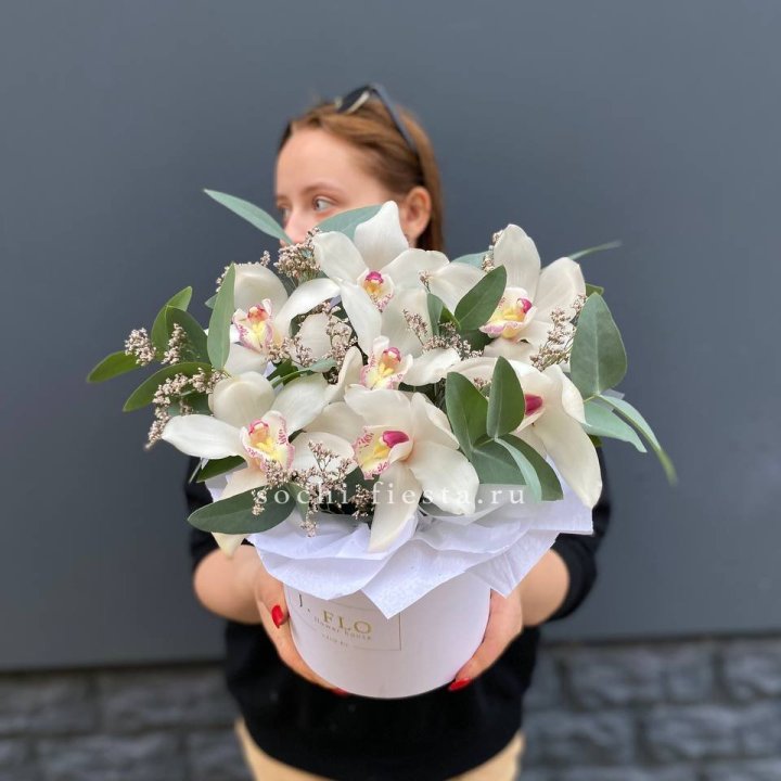 7 орхидей в боксе в Дзержинске