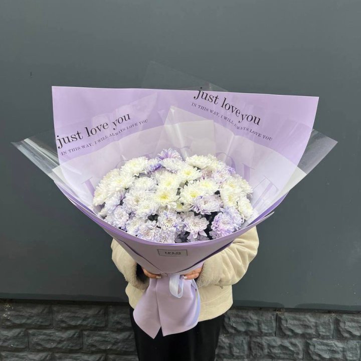 9 воздушных хризантем в Дзержинске