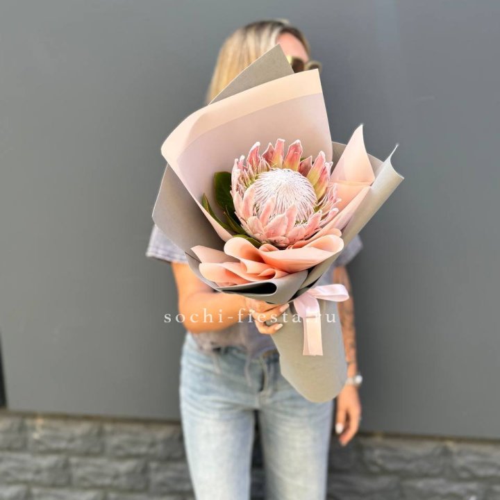 Протея мини  в Дзержинске