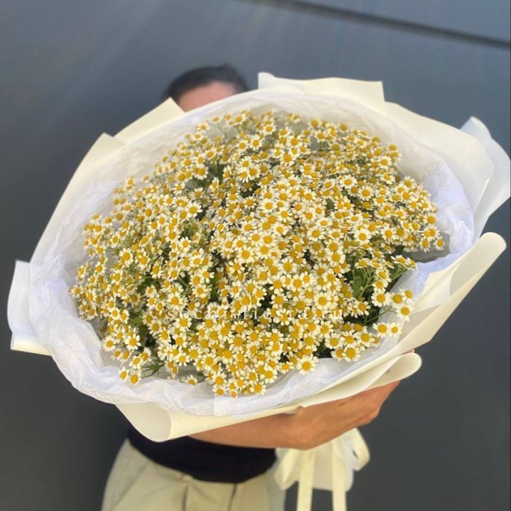 Букет ромашек №2 в Дзержинске