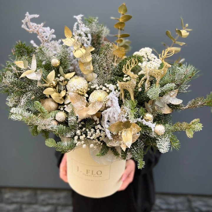 Золотой бокс с нобилисом в Дзержинске