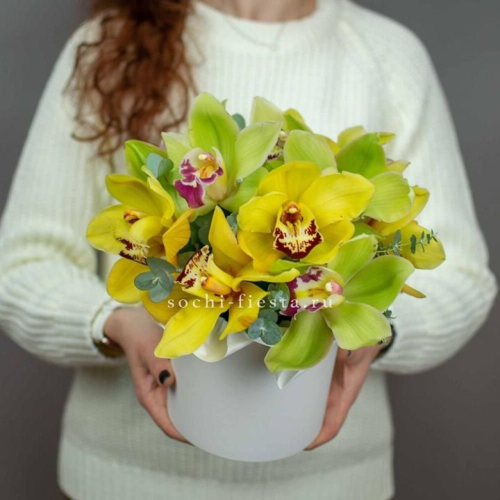 Бокс с орхидей №1 в Дзержинске