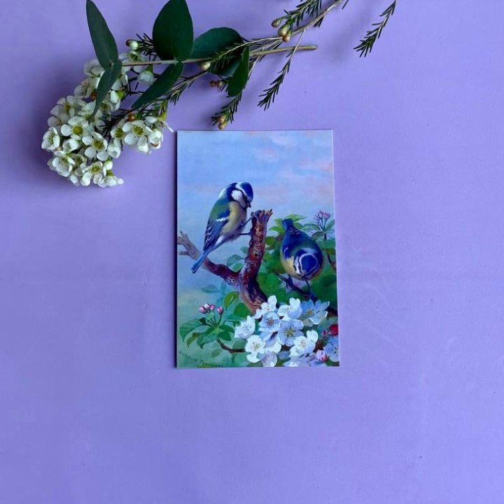 Открытка к букету "Птицы" в Дзержинске