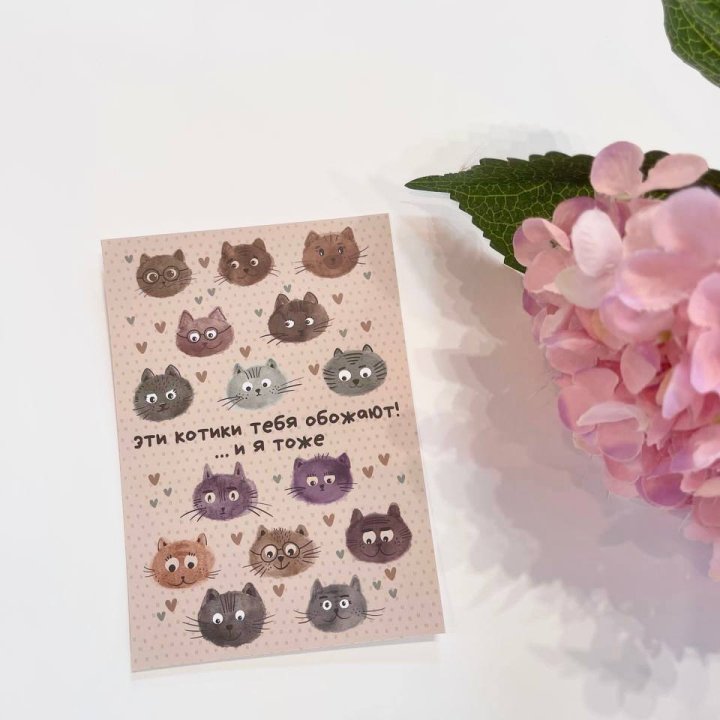 Открытка к букету "Котики" в Дзержинске