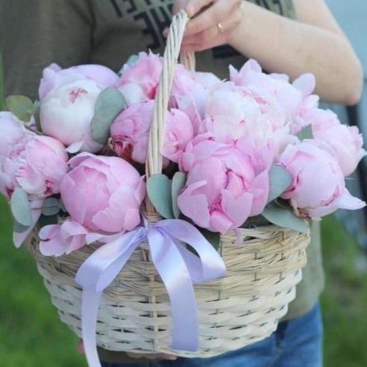 15 пионов в корзине в Дзержинске