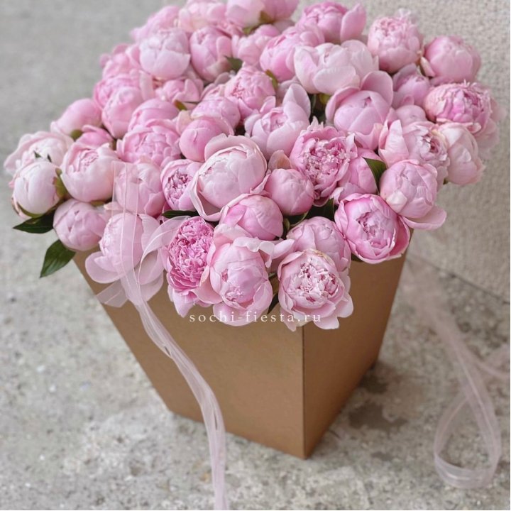 49 пионов в крафт коробке в Дзержинске