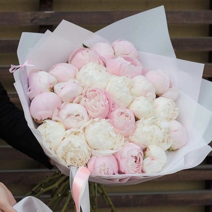 29 пионов в Дзержинске