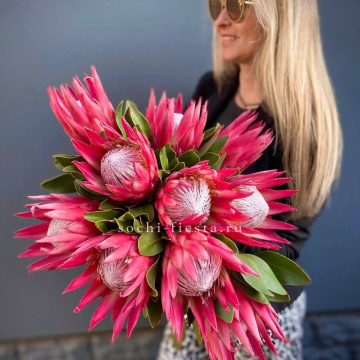 Протея штучно в Дзержинске