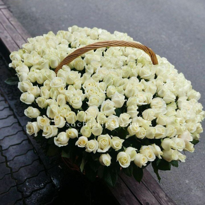 303 розы в корзине в Дзержинске