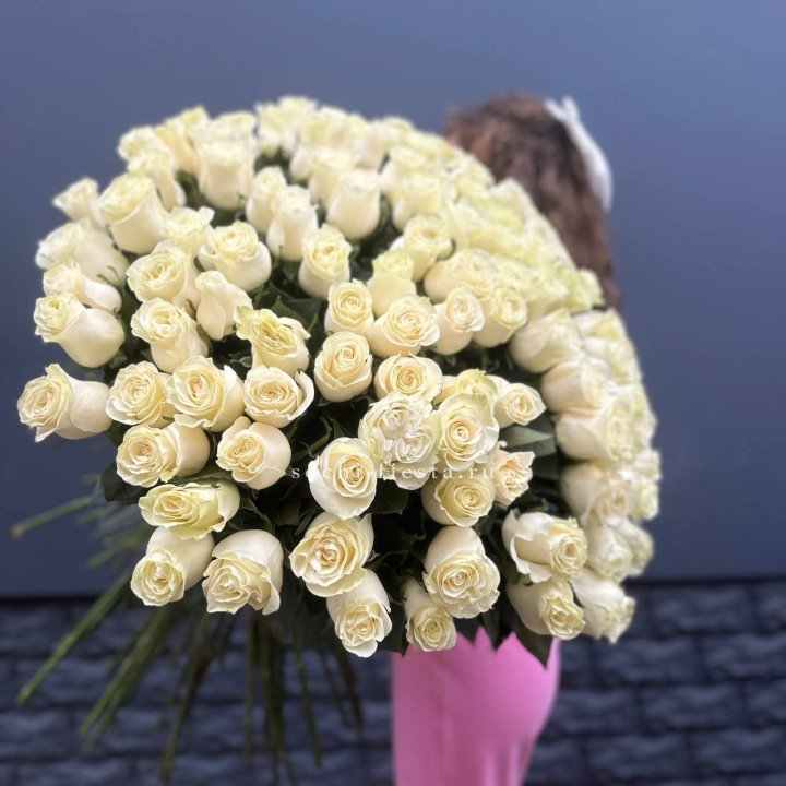 101 белая высокая импортная роза под ленту в Дзержинске