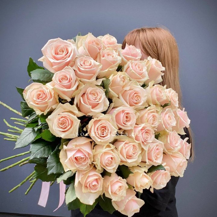 35 кремовых высоких роз в Дзержинске
