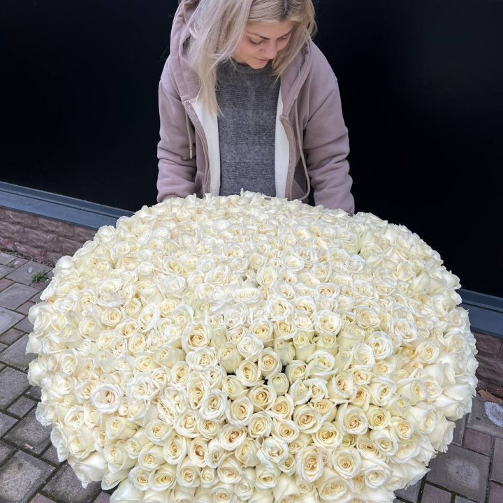 501 белая роза в корзине в Дзержинске