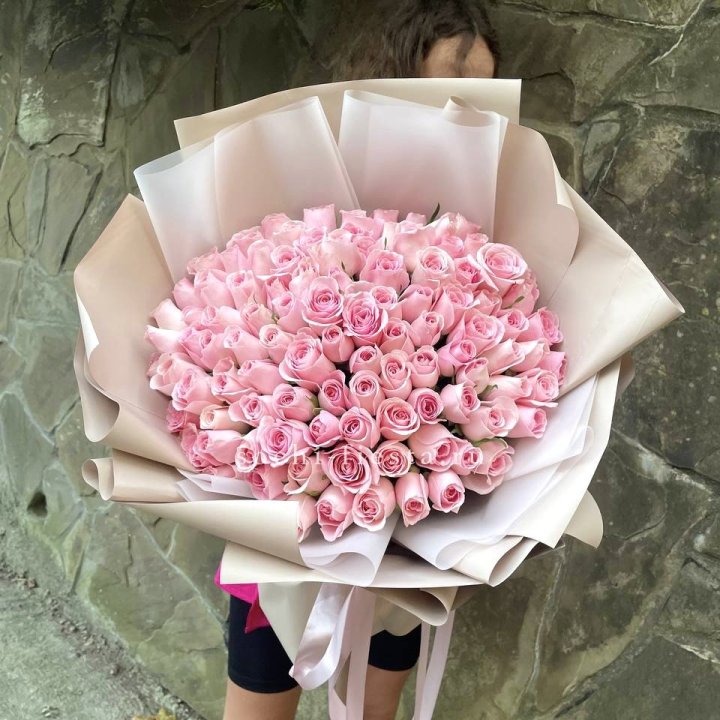 101 нежно-розовая роза Каролина  в Дзержинске