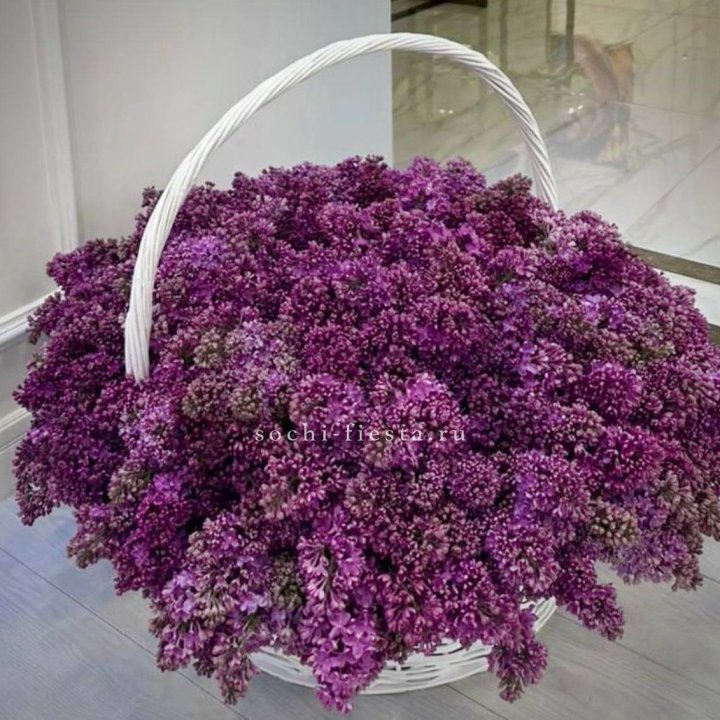 Корзина сирени в Дзержинске