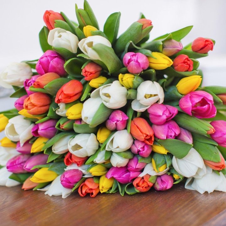 79 тюльпанов "Рандом" в Дзержинске