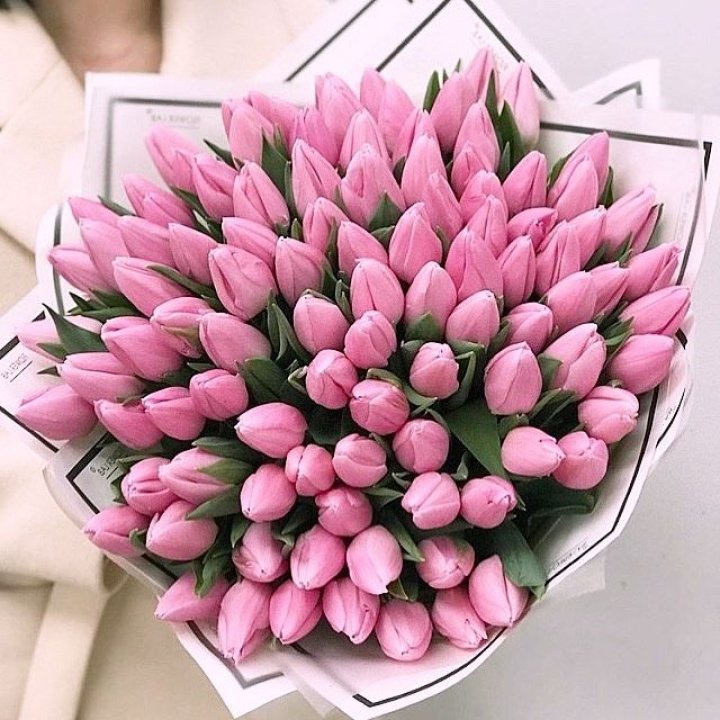 101 розовый тюльпан в белом в Дзержинске