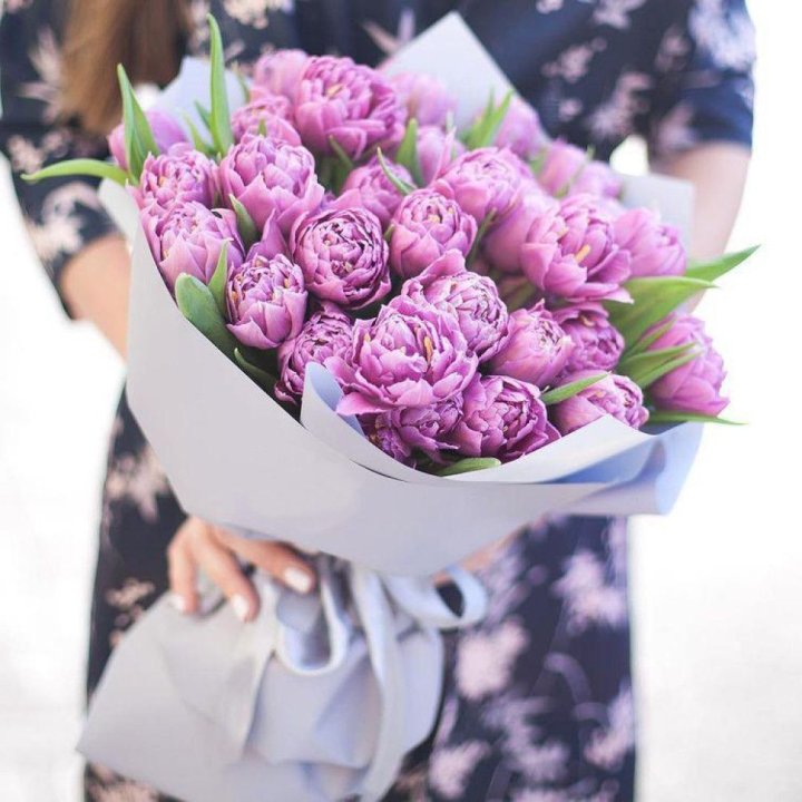 Тюльпаны "Пионс" в Дзержинске